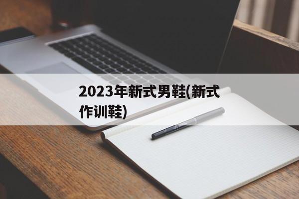 2023年新式男鞋(新式作训鞋)